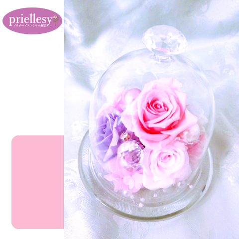 プリザーブドフラワー　カルテットローズドーム