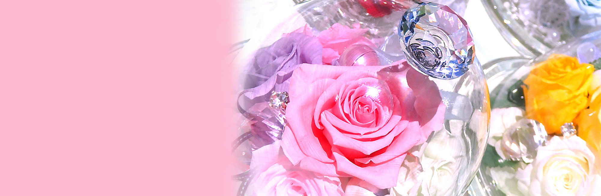 プリザーブドフラワー　カルテットローズドーム